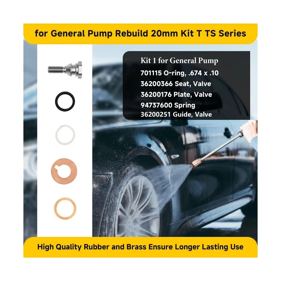 for General Pump Rebuild kit, Compatible with General Pump T/TS Series T1011 …