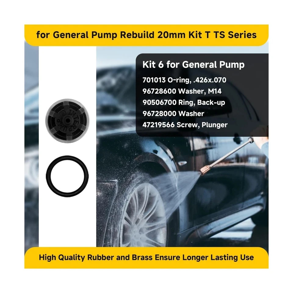 for General Pump Rebuild kit, Compatible with General Pump T/TS Series T1011 …