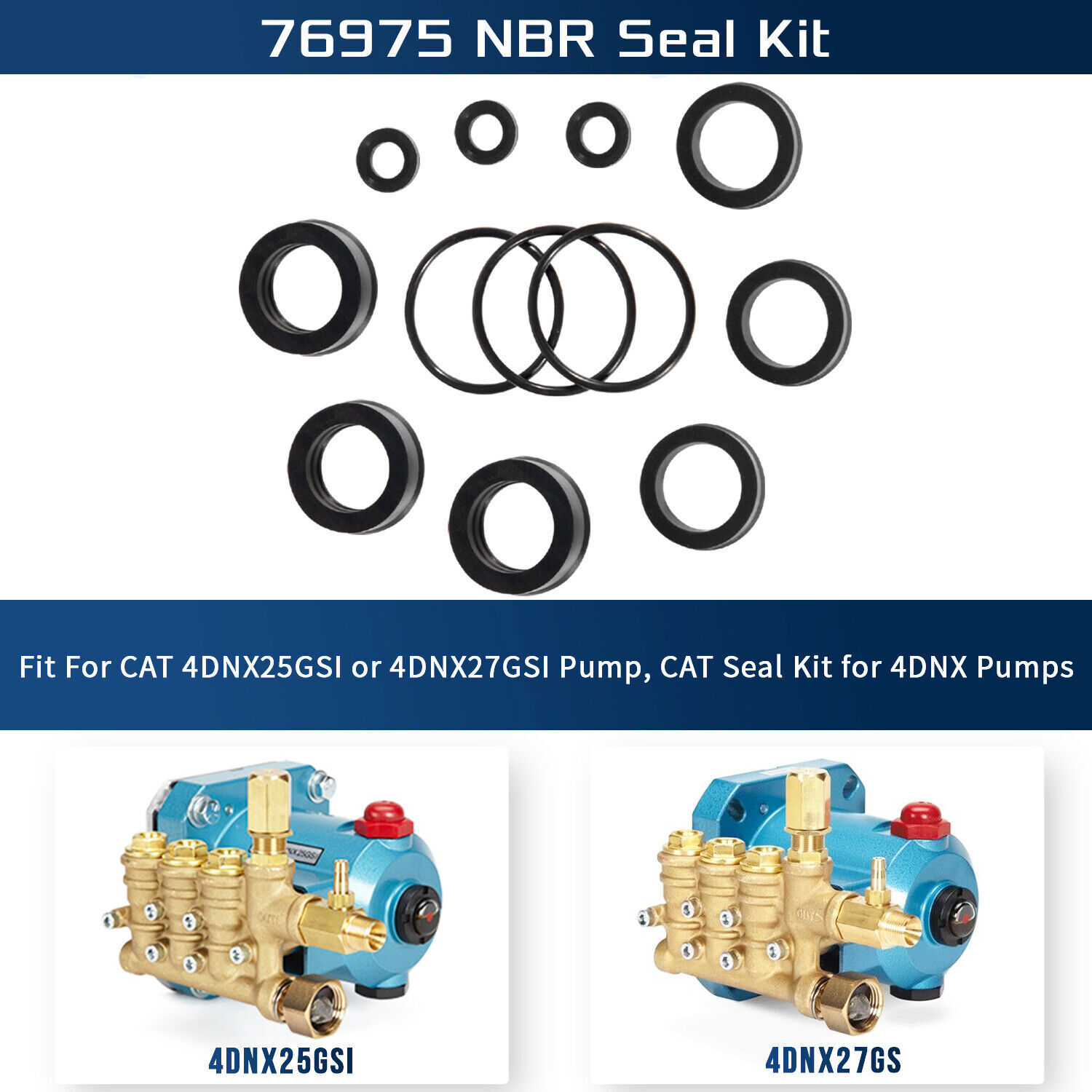 76975 Seal Kit Cat Pump Seal Kit for 4DNX Pumps Model 4DNX25GSI 4DNX27GSI