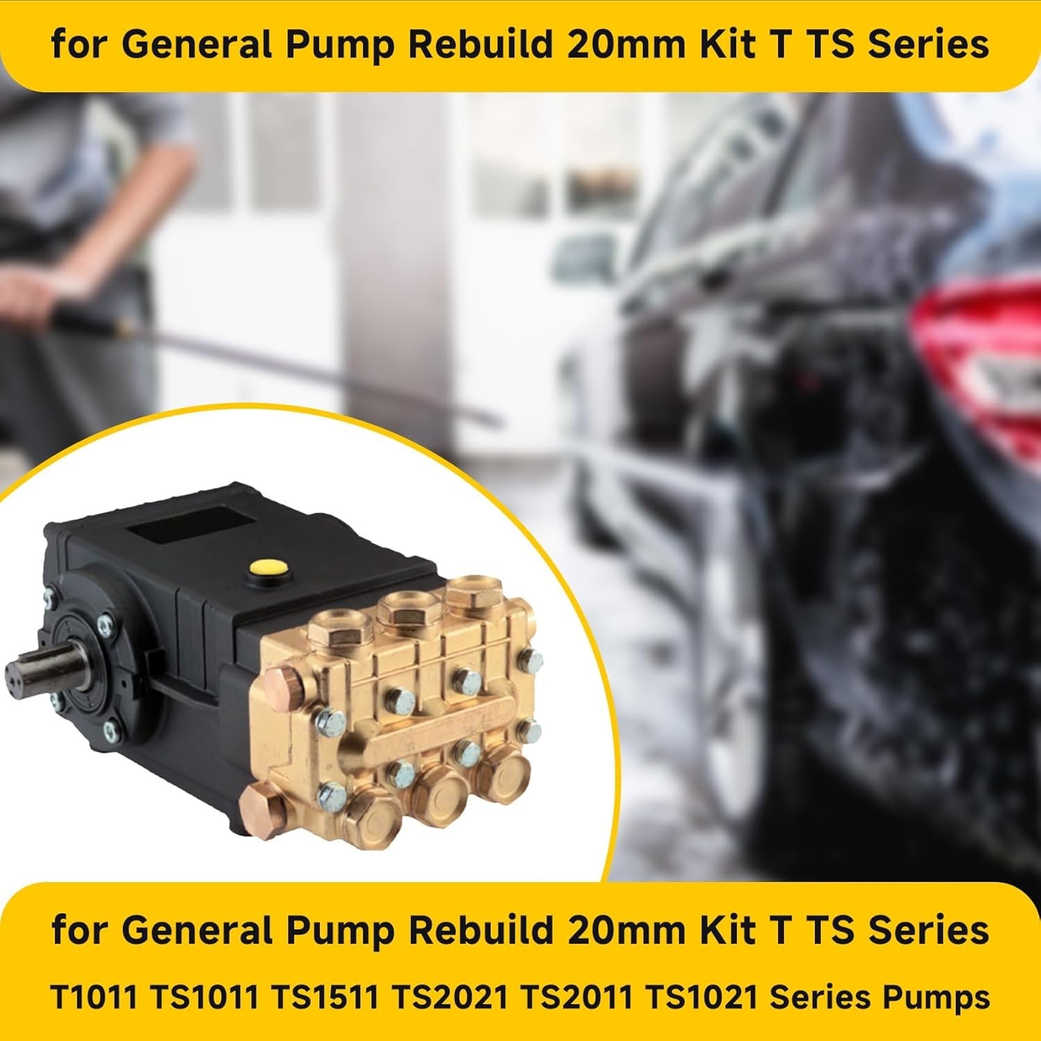 for General Pump Rebuild kit, Compatible with General Pump T/TS Series T1011 …