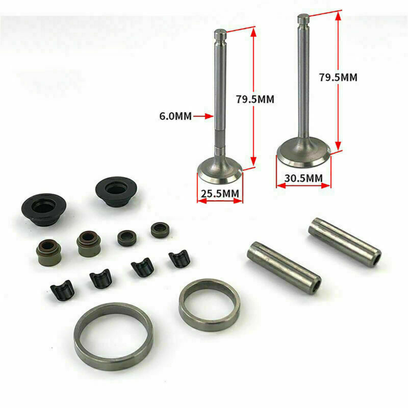 Air-Cooled Diesel Engine Valve Catheter Seat Ring Kit 178F 186F 188F 192F 173F